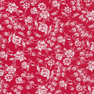 Momnson - Gabriela on Red