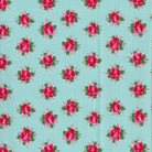 Momnson - Claire in Turquoise