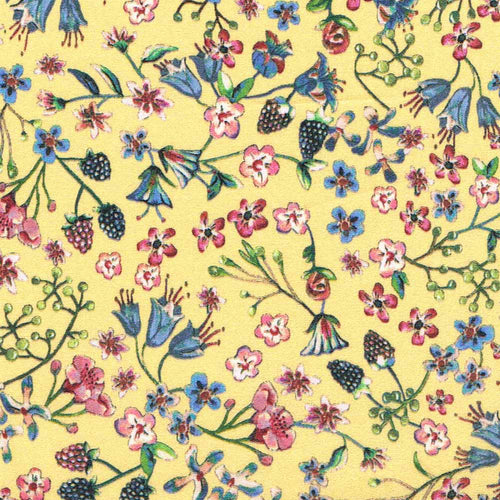 Liberty Fabrics Tana Lawn © Organic Donna Leigh B